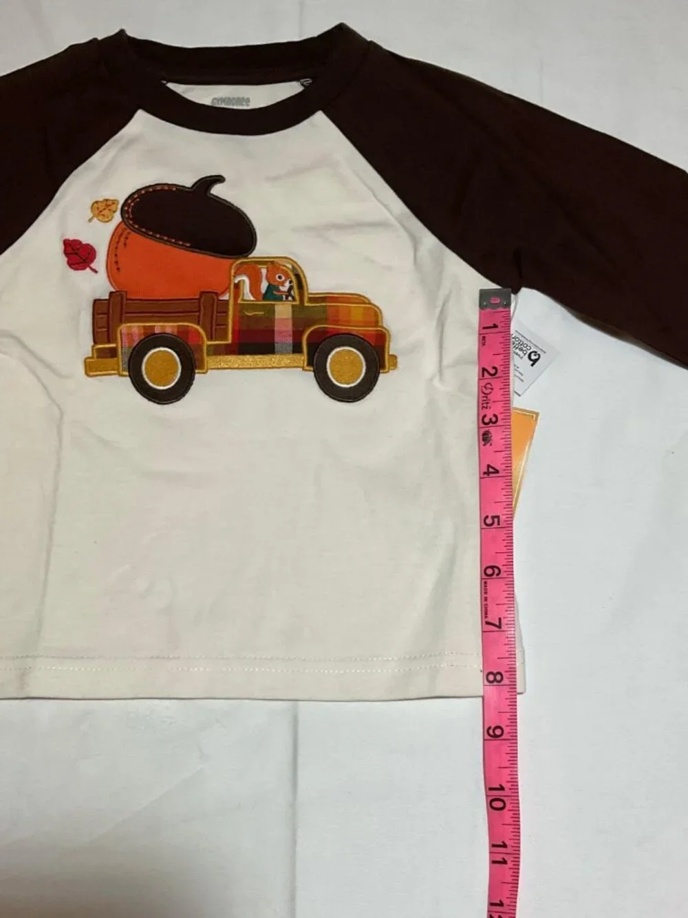 Gymboree Boys 12-18 Months Squirrel Acorn Truck Long Sleeve Raglan Top NWT